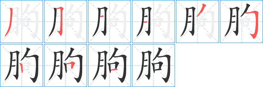 朐字笔顺写法
