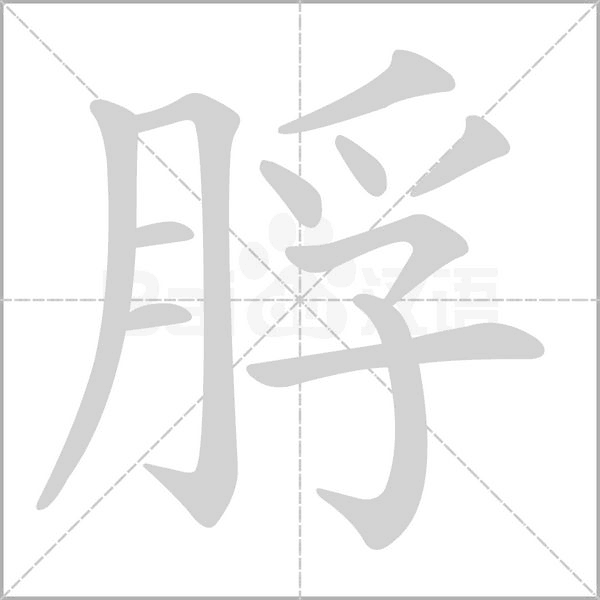 脬字笔顺动画