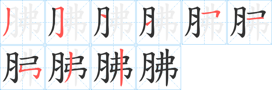 胇字笔顺写法