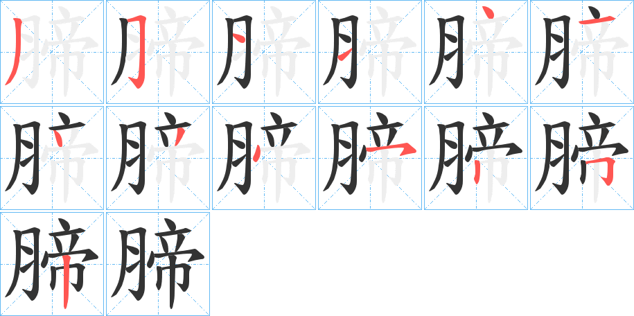腣字笔顺写法
