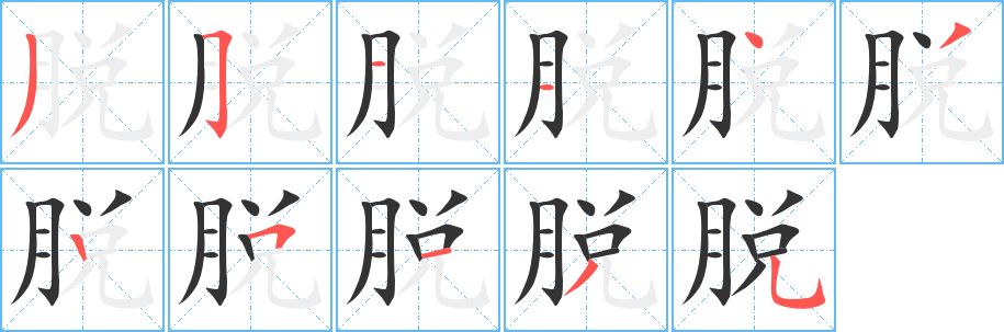 脱字笔顺写法