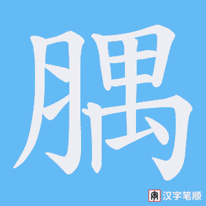 腢字笔顺动画