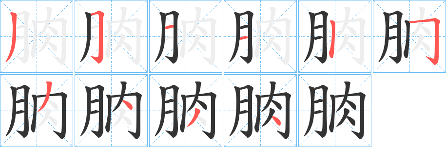 朒字笔顺写法
