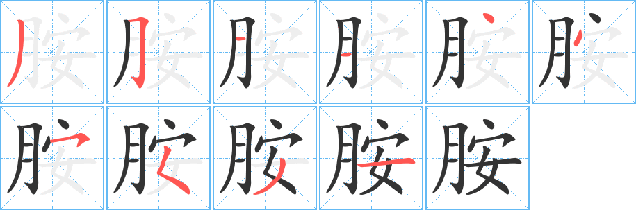 胺字笔顺写法
