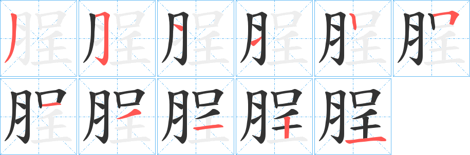 脭字笔顺写法