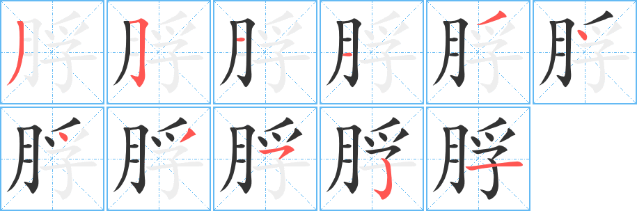 脬字笔顺写法