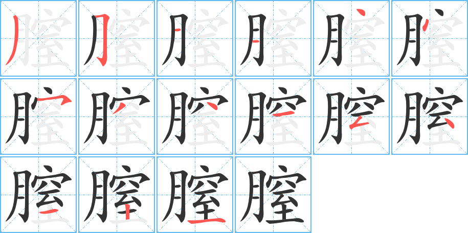 膣字笔顺写法