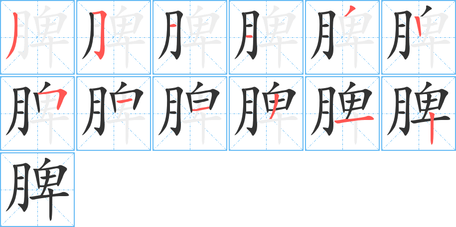 脾字笔顺写法