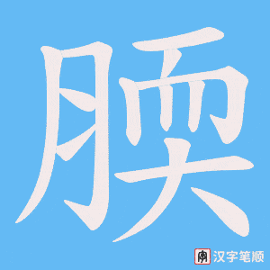 腝字笔顺动画