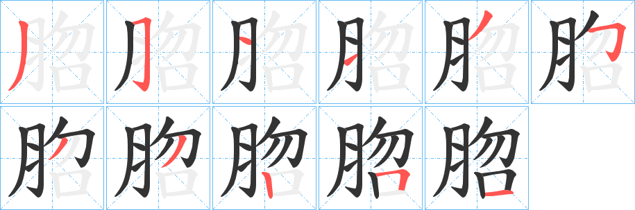 脗字笔顺写法
