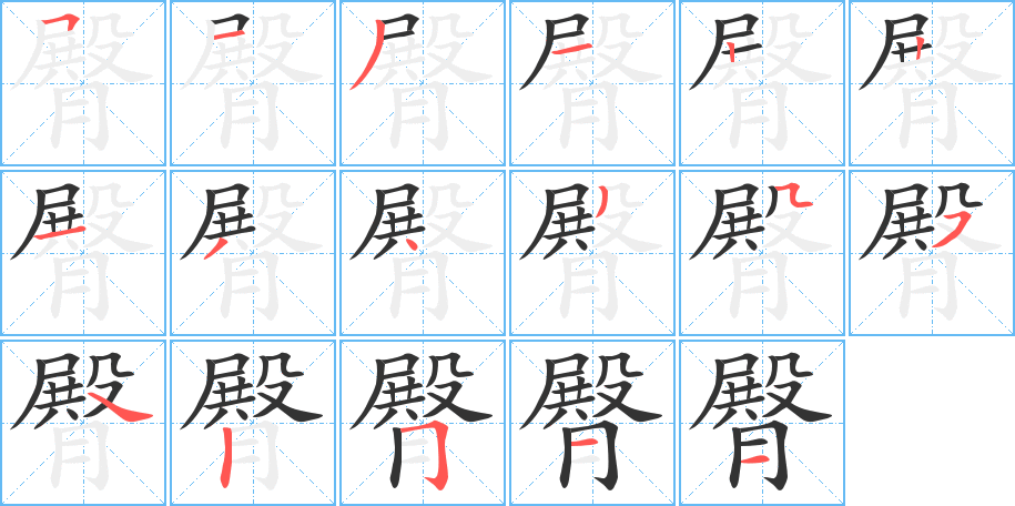 臀字笔顺写法