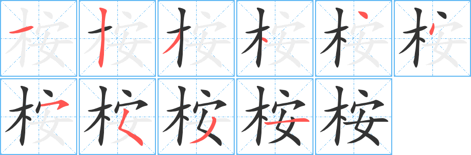 桉字笔顺写法