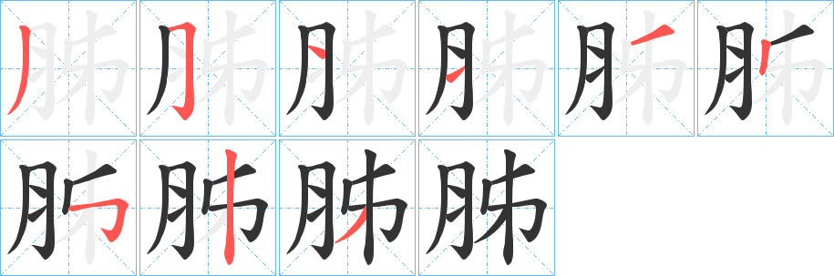 胏字笔顺写法