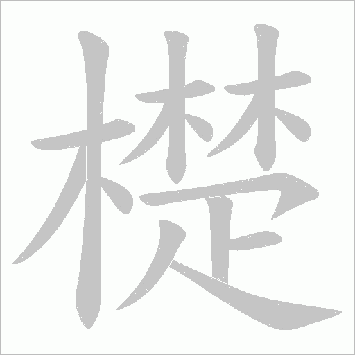 檚字笔顺动画