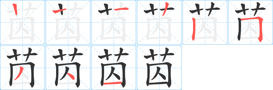 苬字笔顺写法