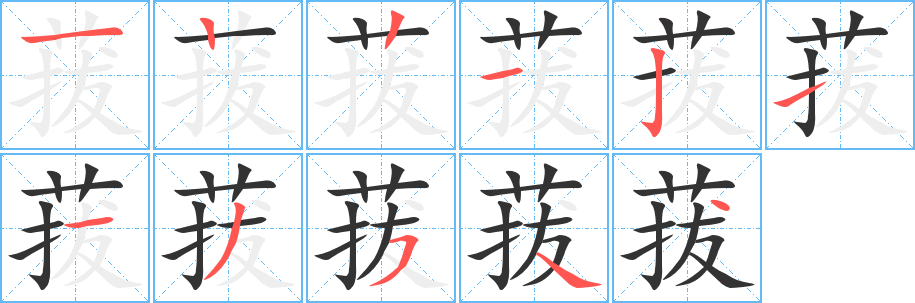 菝字笔顺写法
