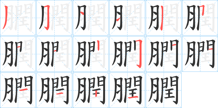 膶字笔顺写法