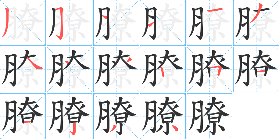 膫字笔顺写法