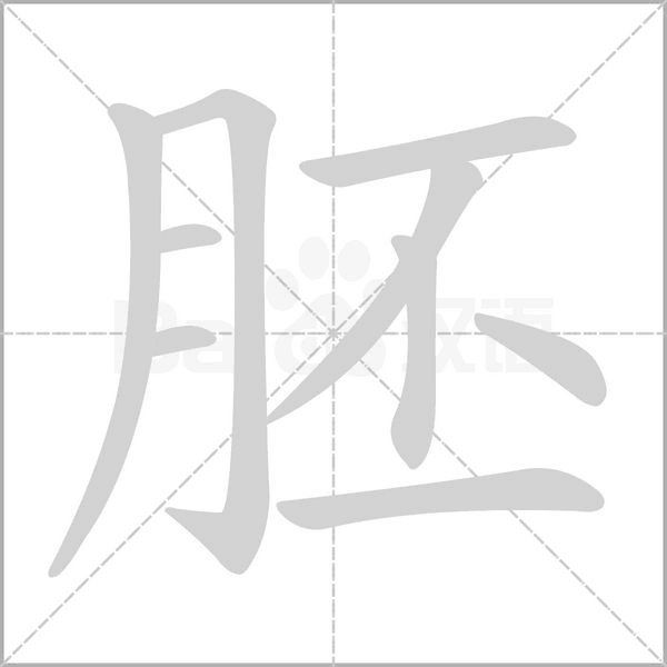 胚字笔顺动画