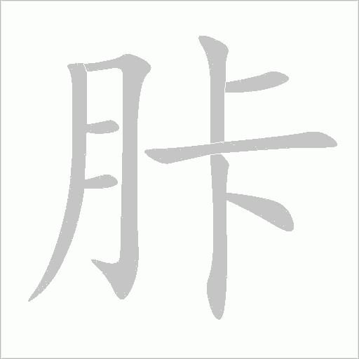 胩字笔顺动画