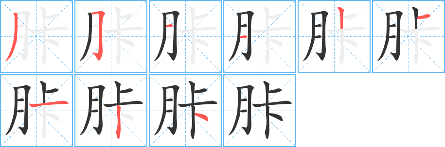 胩字笔顺写法