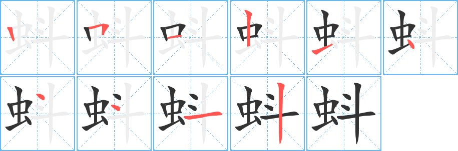 蚪字笔顺写法