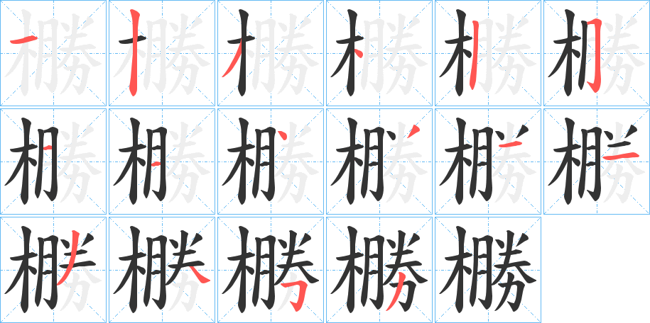 橳字笔顺写法