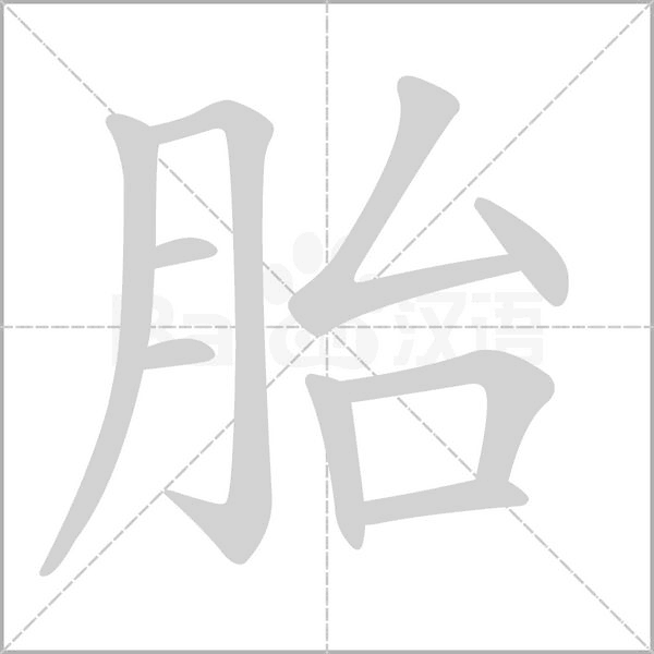 胎字笔顺动画