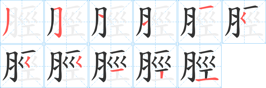 脛字笔顺写法