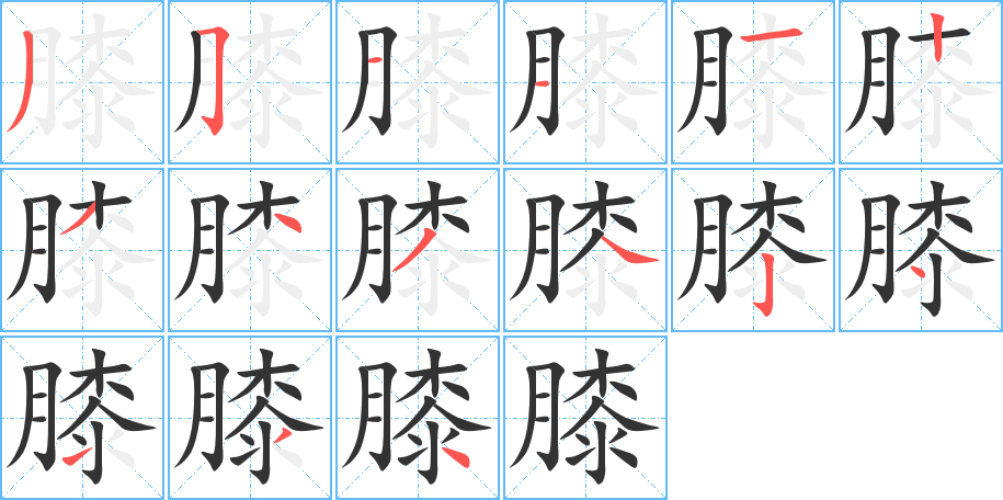 膝字笔顺写法