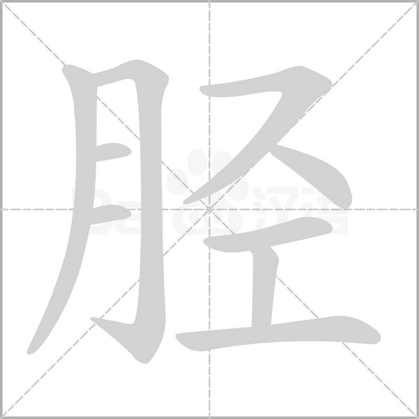 胫字笔顺动画