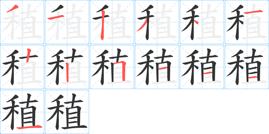 稙字笔顺写法