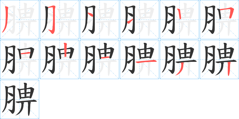 腗字笔顺写法