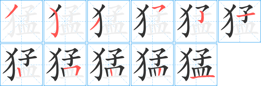 猛字笔顺写法