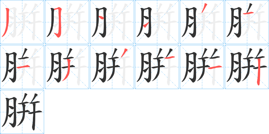 腁字笔顺写法