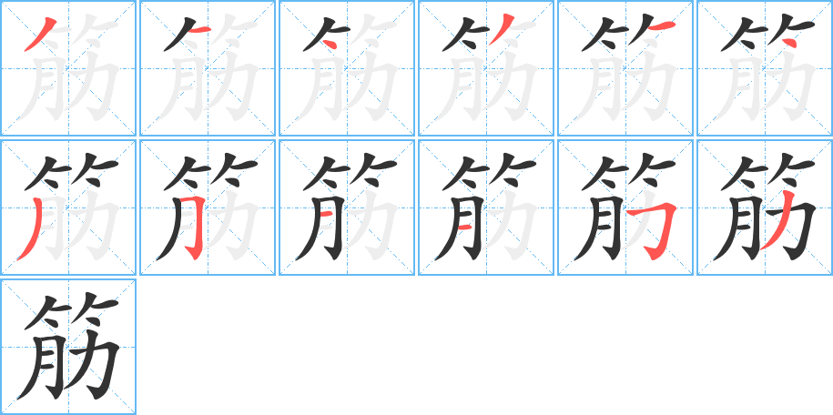 筋字笔顺写法
