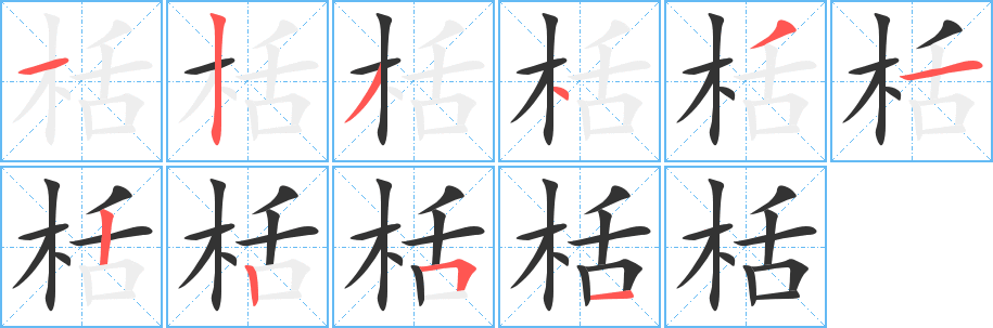 栝字笔顺写法