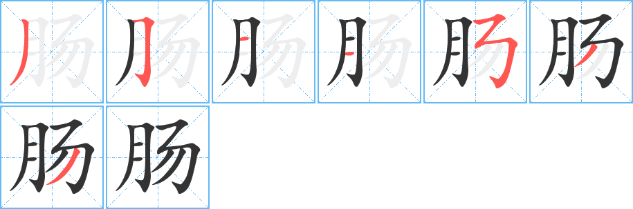 肠字笔顺写法