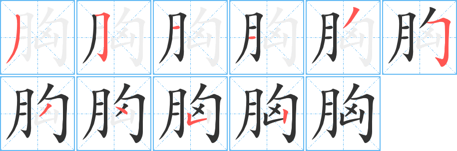 胸字笔顺写法