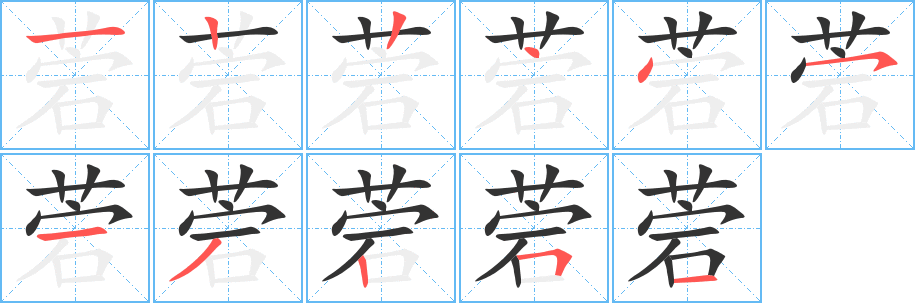 菪字笔顺写法