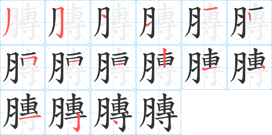 膞字笔顺写法