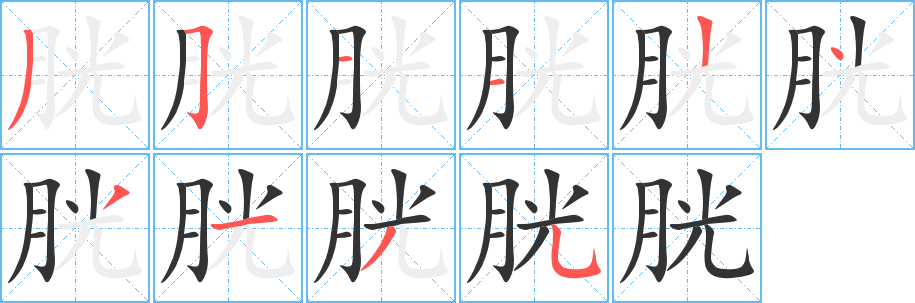 胱字笔顺写法