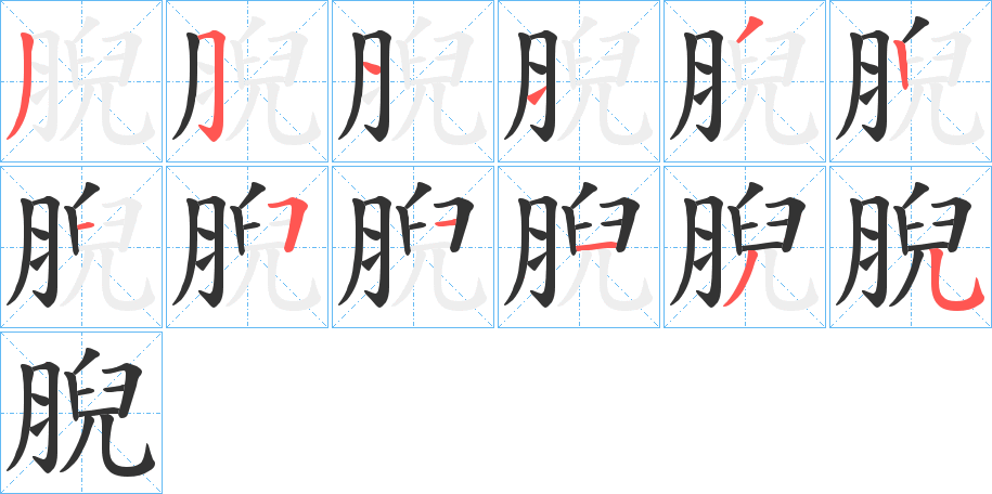 腉字笔顺写法