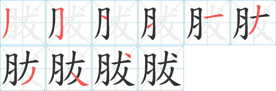 胈字笔顺写法