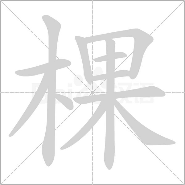 棵字笔顺动画