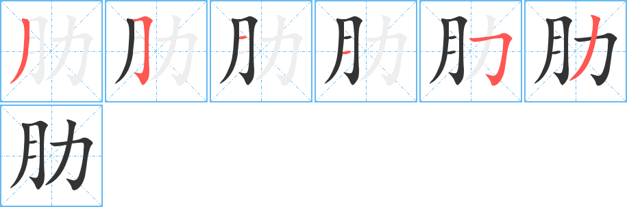 肋字笔顺写法
