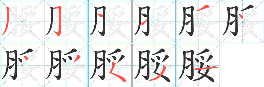 脮字笔顺写法