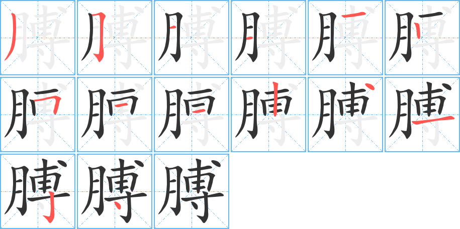 膊字笔顺写法