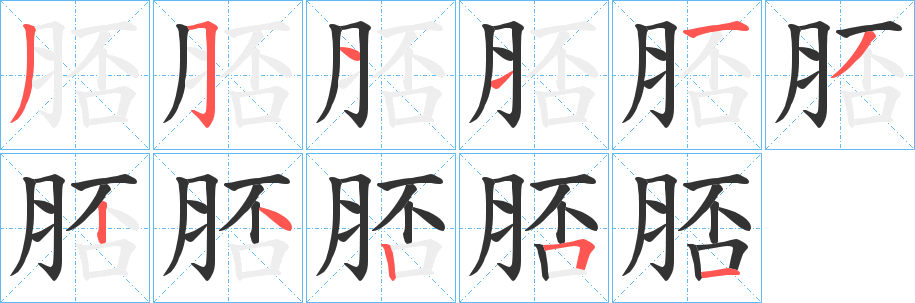 脴字笔顺写法