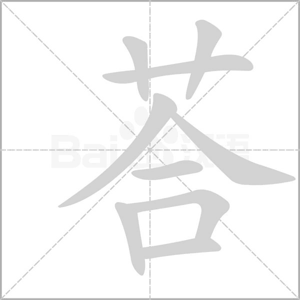 荅字笔顺动画